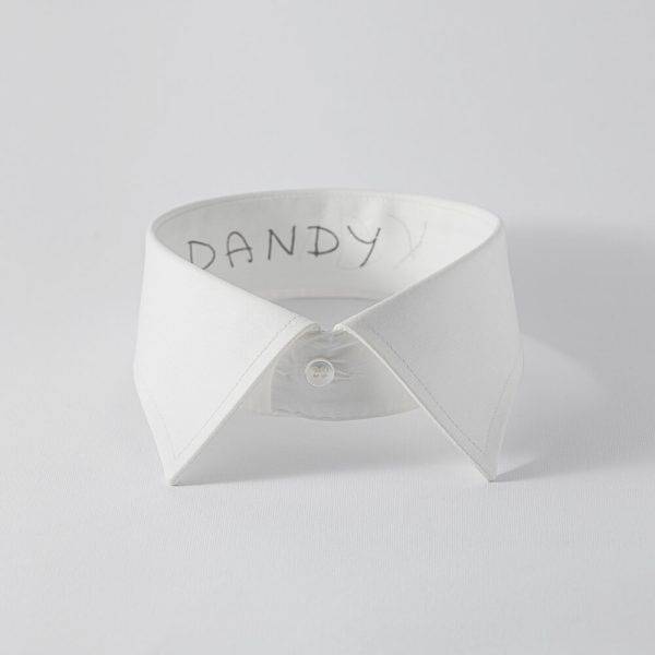 DANDY